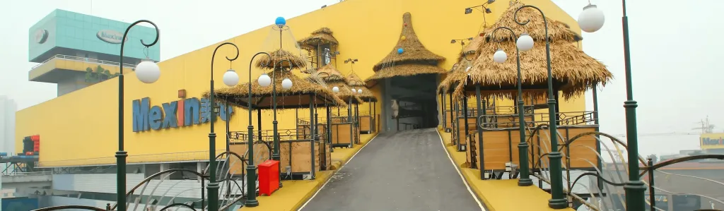 mexin door