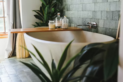 un bagno con pianta e vasca