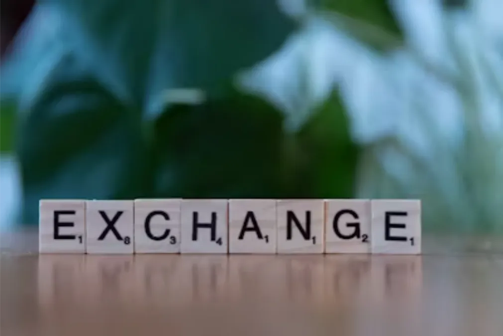 Currency Exchange and Payment Fees